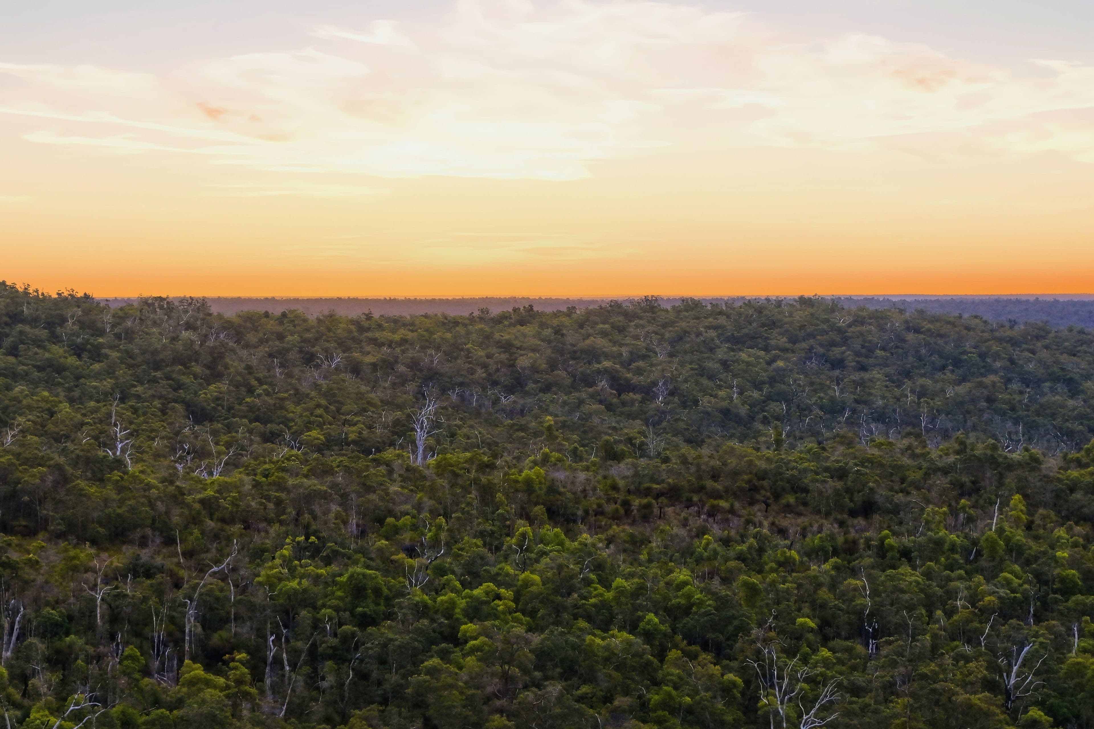 267 Gold Gully Road, East Nannup WA 6275, East Nannup - Thumbnail 2