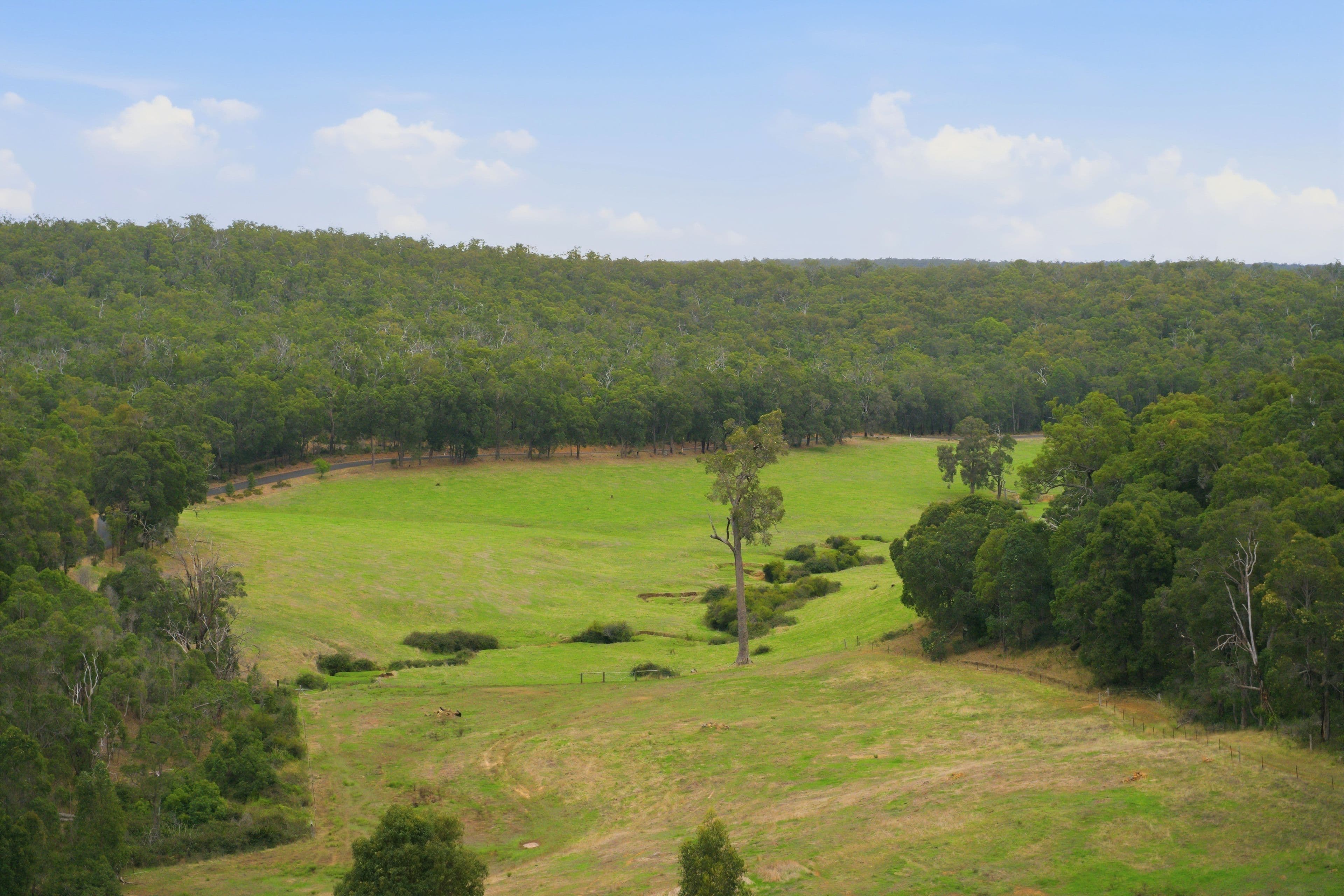 267 Gold Gully Road, East Nannup WA 6275, East Nannup - Thumbnail 3
