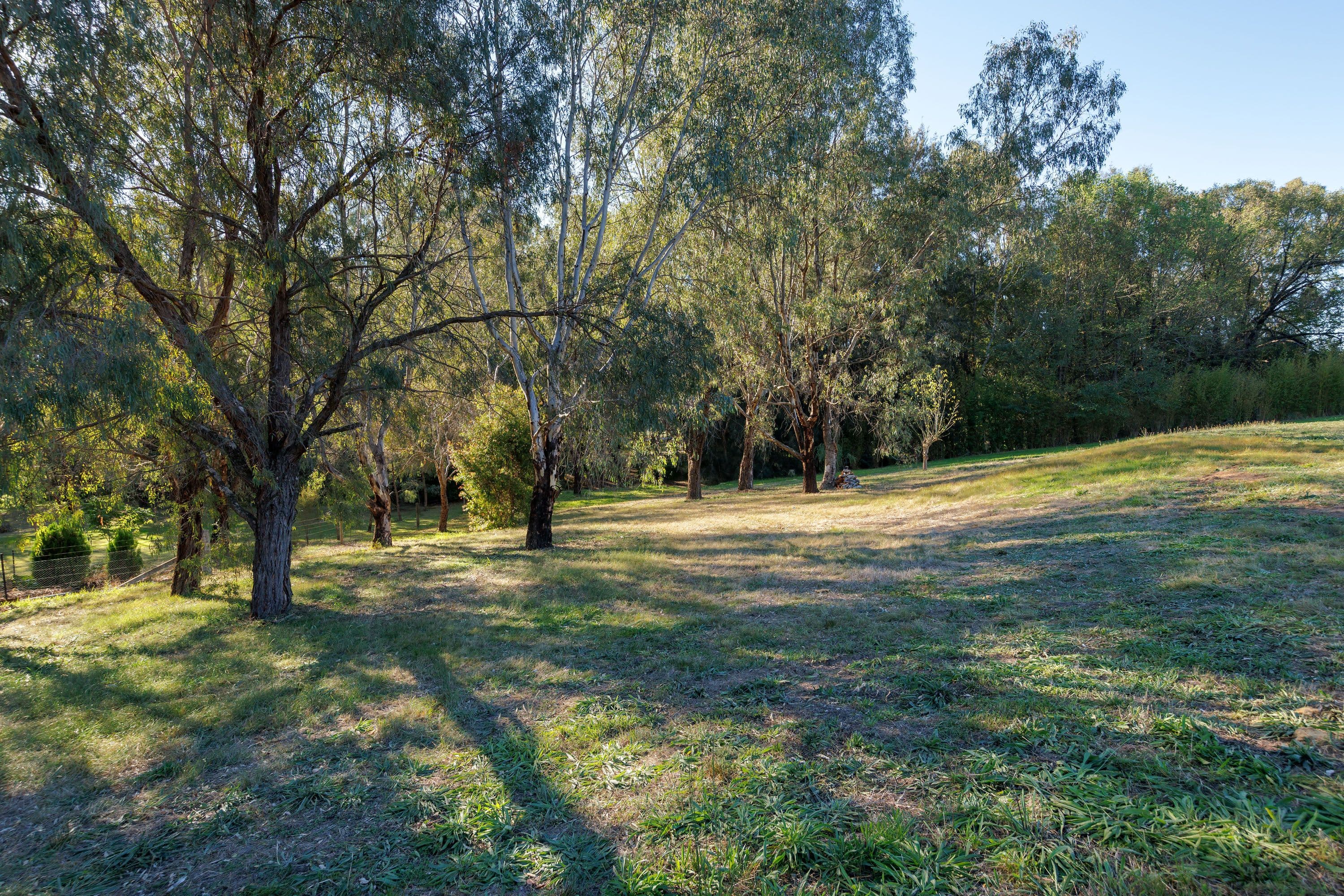 Lot 1 King Street, Oxley VIC 3678, Oxley - Thumbnail 7