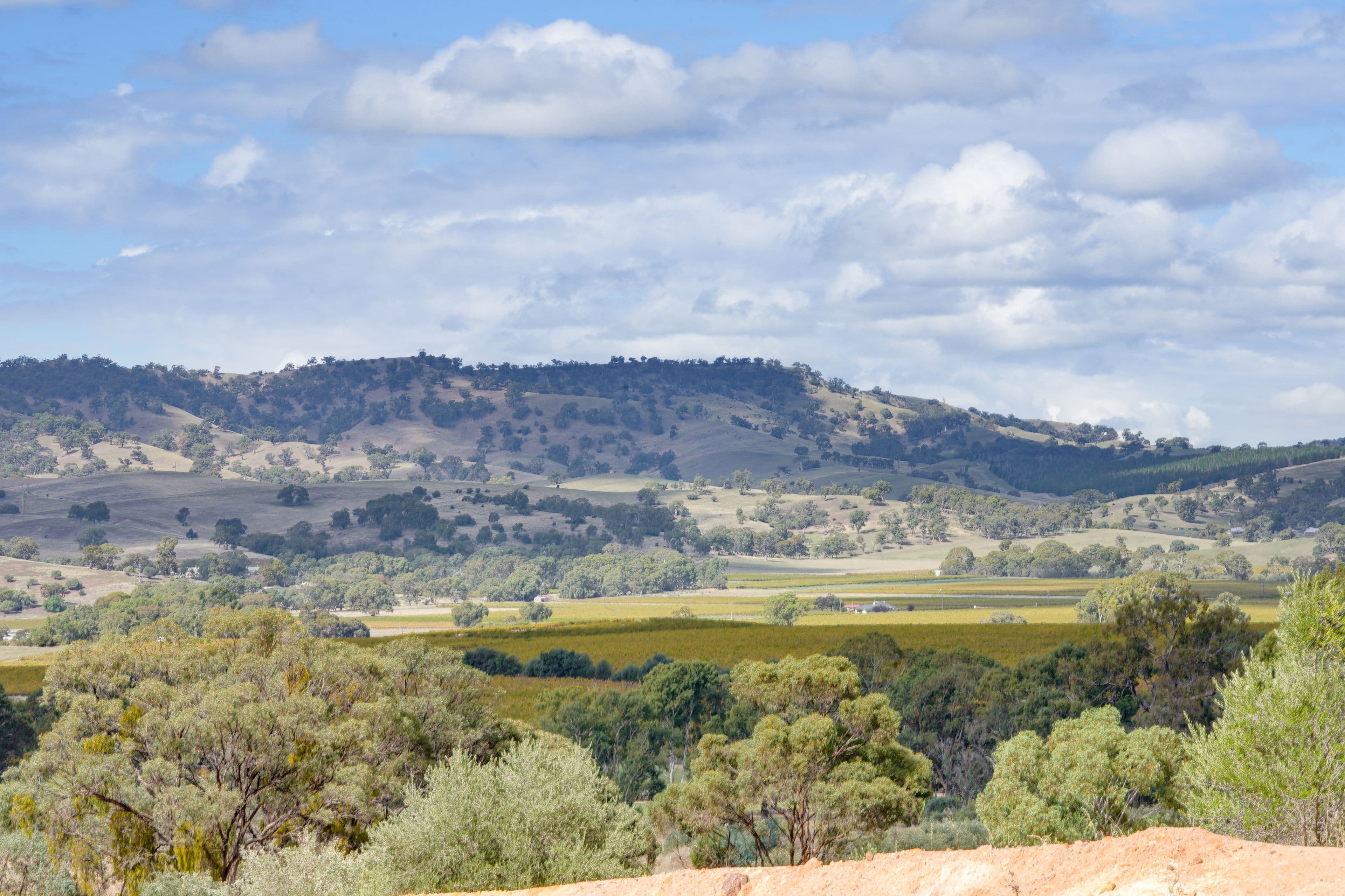 lot 67 Randall Circuit, Lyndoch SA 5351, Lyndoch - Thumbnail 6