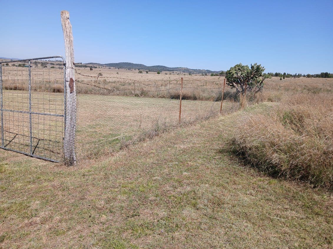 Lot 325 Guymer Road, Silver Spur QLD 4385, Silver Spur - Thumbnail 3