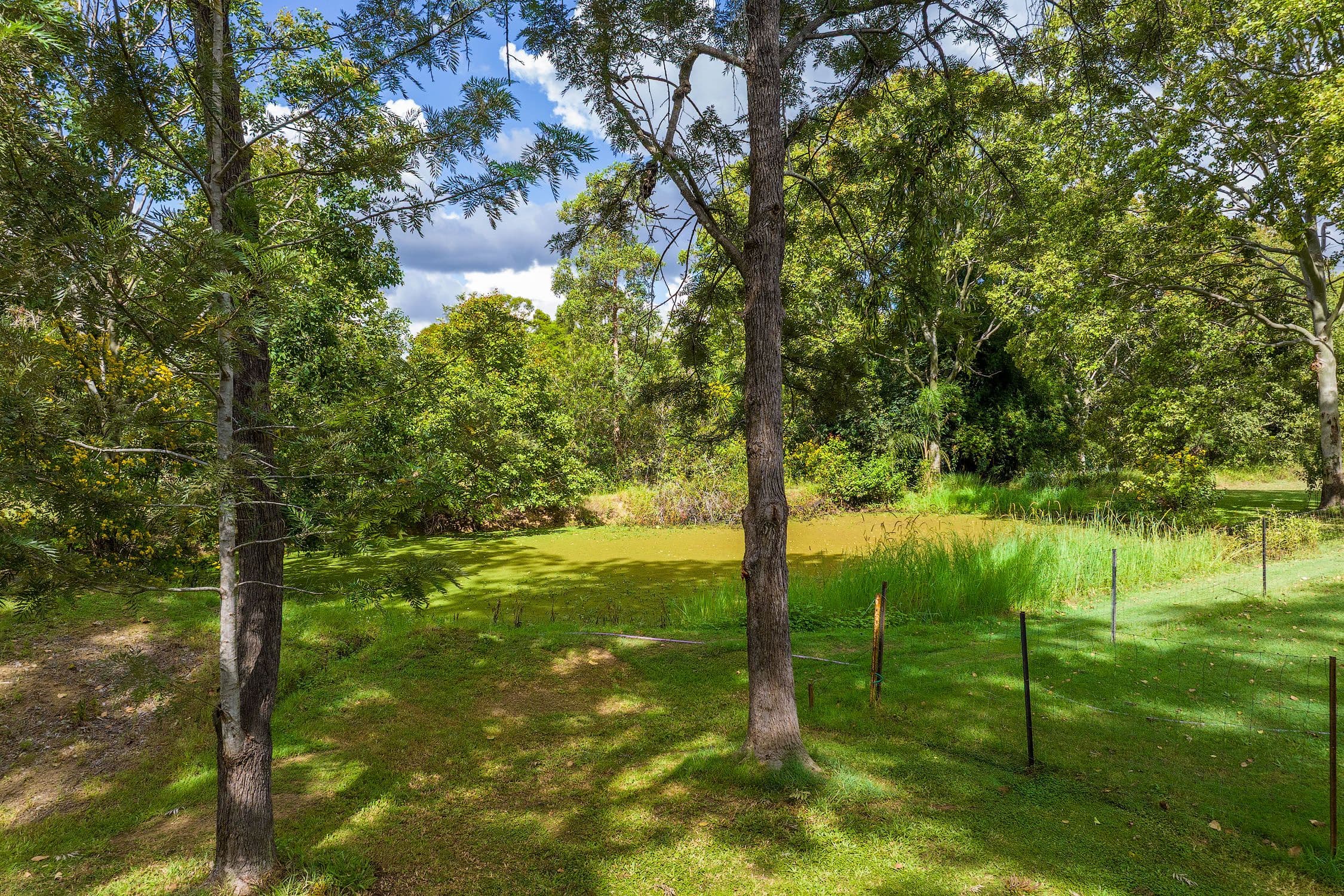22 Abbott Road, Glenwood QLD 4570, Glenwood - Thumbnail 4