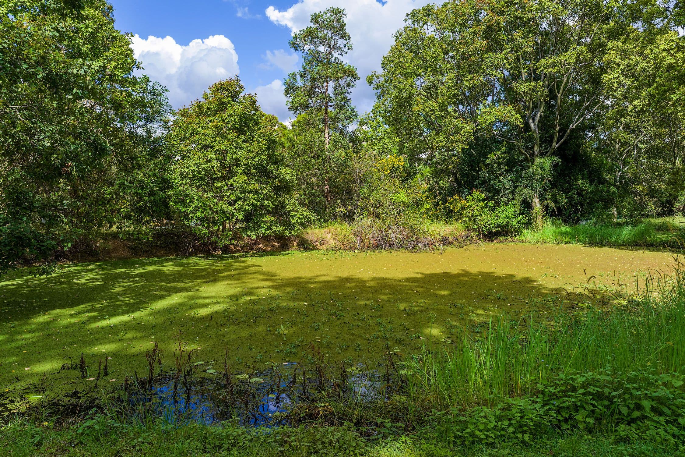 22 Abbott Road, Glenwood QLD 4570, Glenwood - Thumbnail 5
