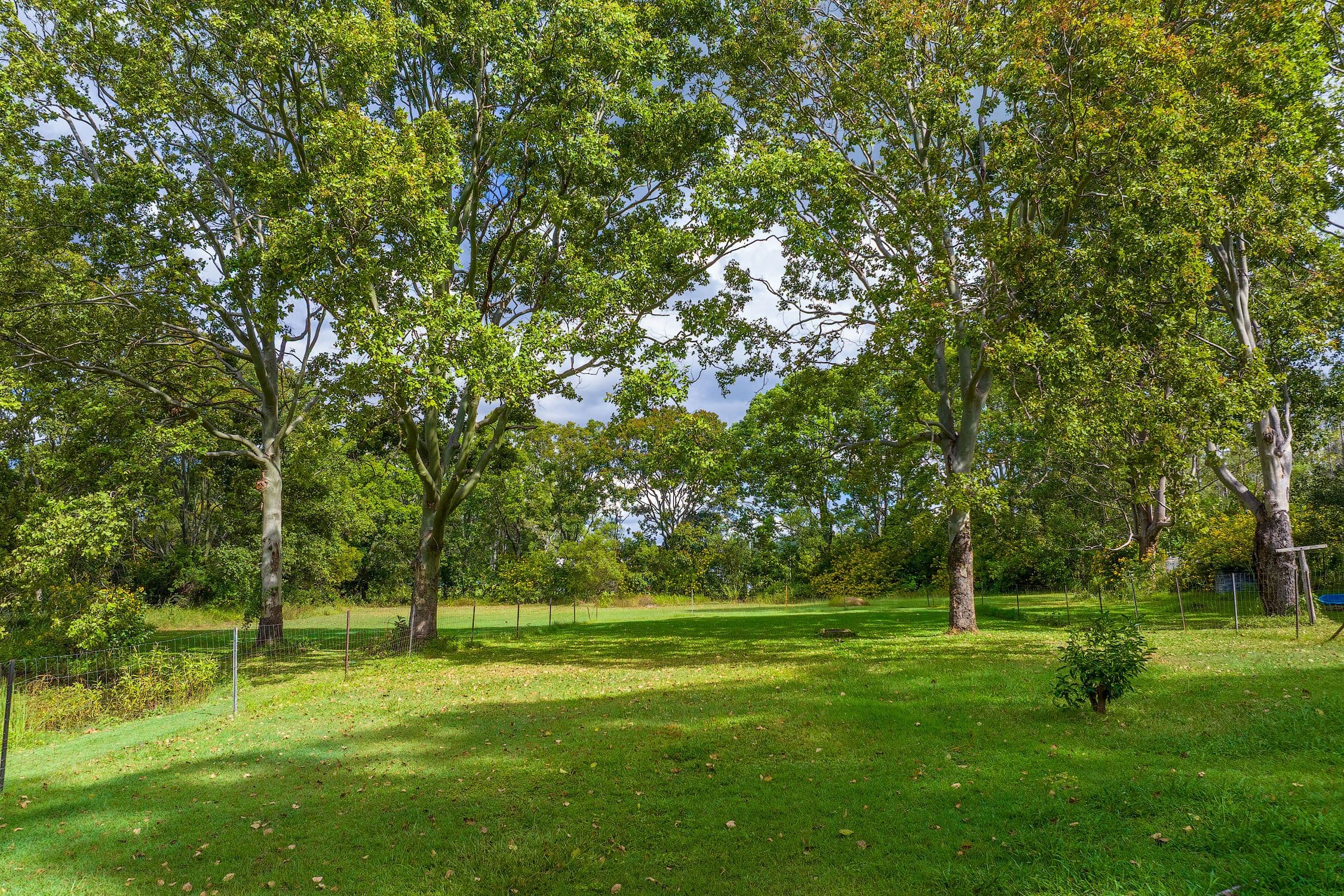 22 Abbott Road, Glenwood QLD 4570, Glenwood - Thumbnail 7