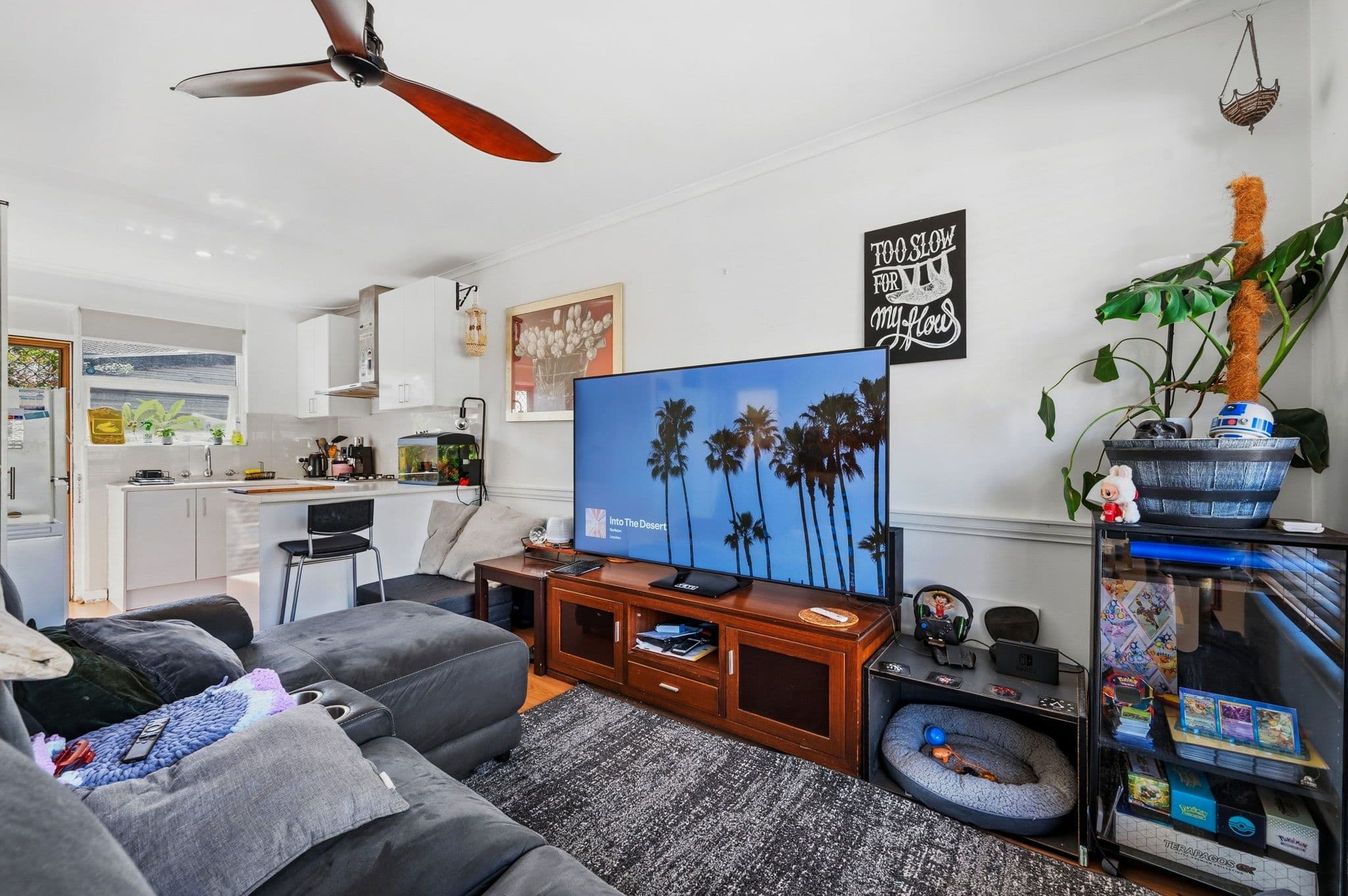 2/105 Spring Street, Queenstown SA 5014, Queenstown - Thumbnail 5