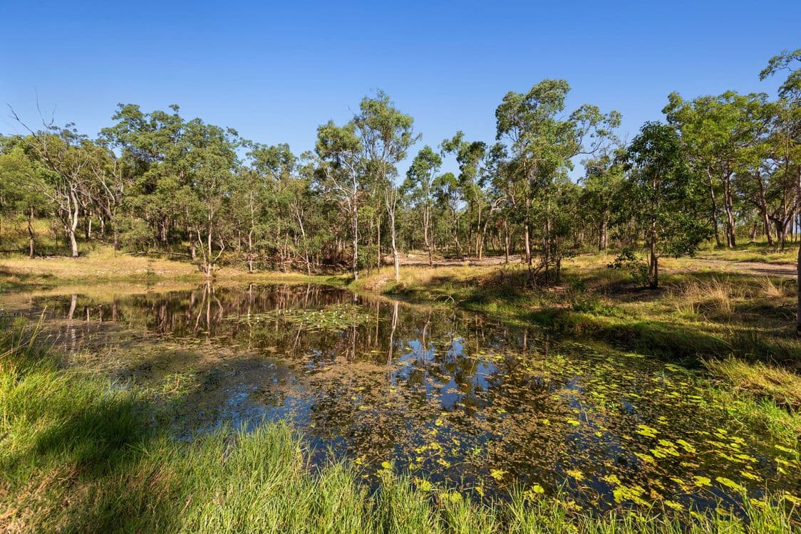 Glen Esk Road, GLEN ESK, QLD 4312, Glen Esk - Thumbnail 5