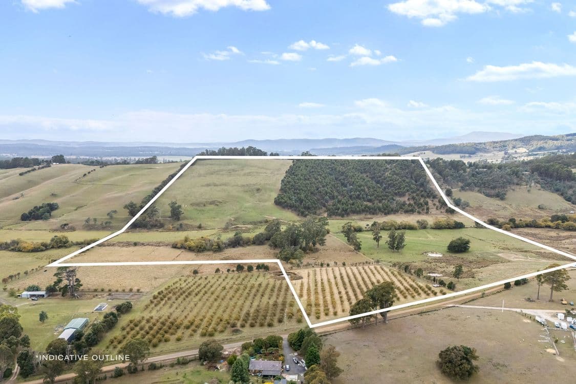 83 Turkey Farm Road, GLENGARRY, TAS 7275, Glengarry - Thumbnail 2