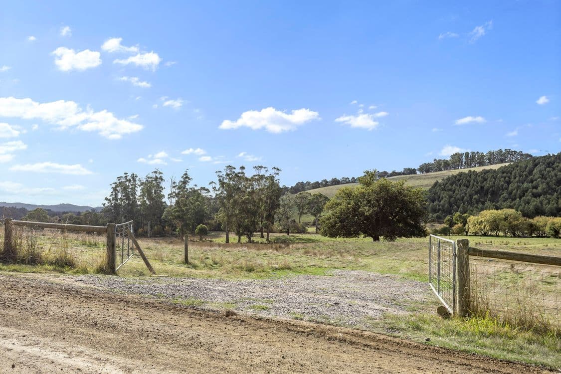 83 Turkey Farm Road, GLENGARRY, TAS 7275, Glengarry - Thumbnail 4