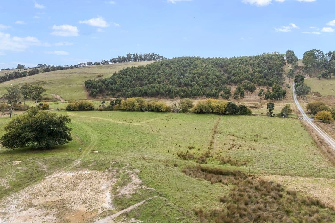83 Turkey Farm Road, GLENGARRY, TAS 7275, Glengarry - Thumbnail 5