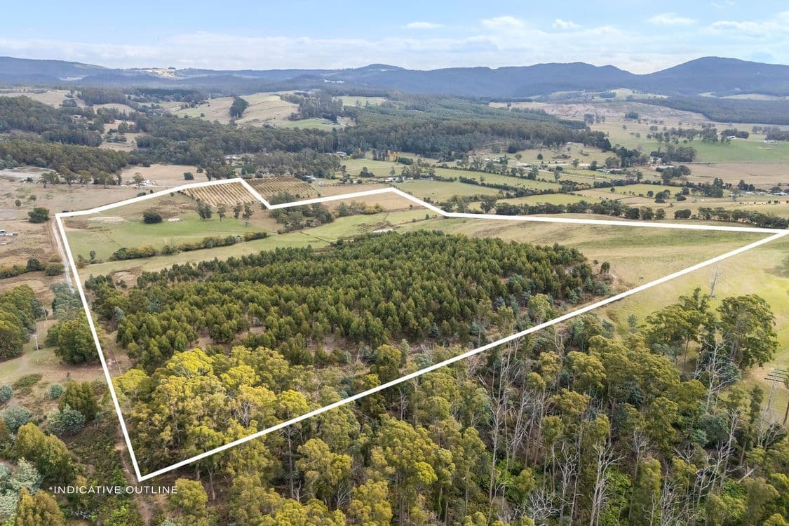 83 Turkey Farm Road, GLENGARRY, TAS 7275, Glengarry - Thumbnail 6