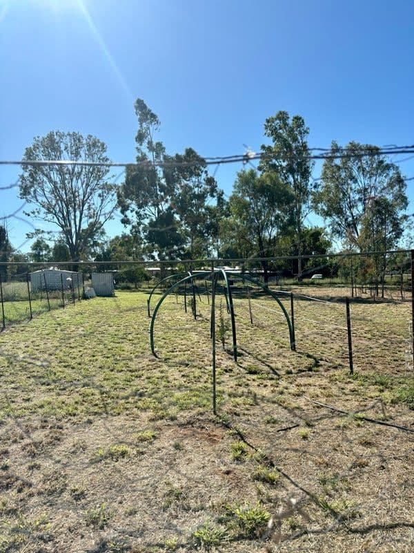 50 Alice Street, MITCHELL, QLD 4465, Mitchell - Thumbnail 5