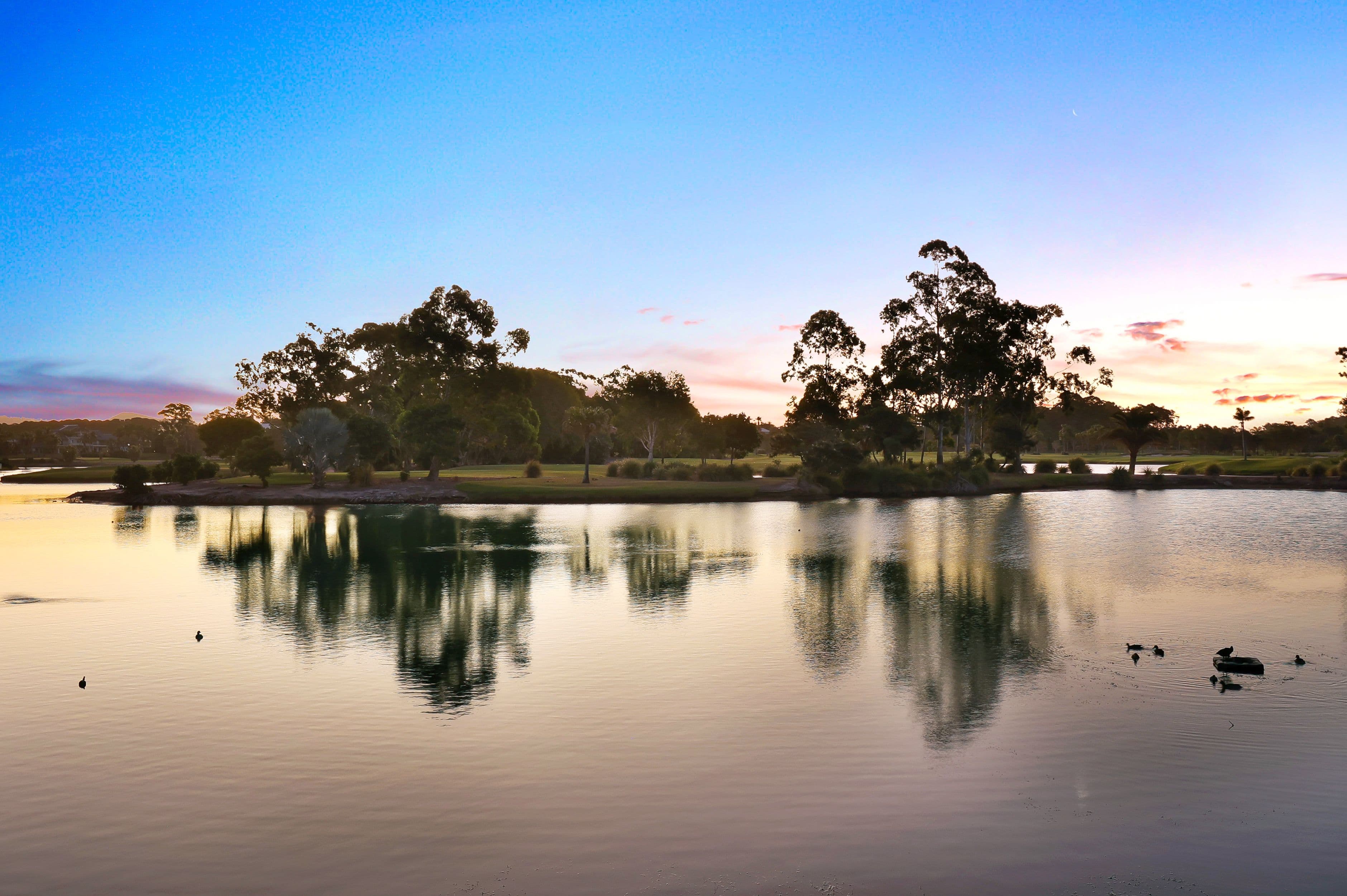 4845 The Parkway, Sanctuary Cove QLD 4212, Sanctuary Cove - Thumbnail 5