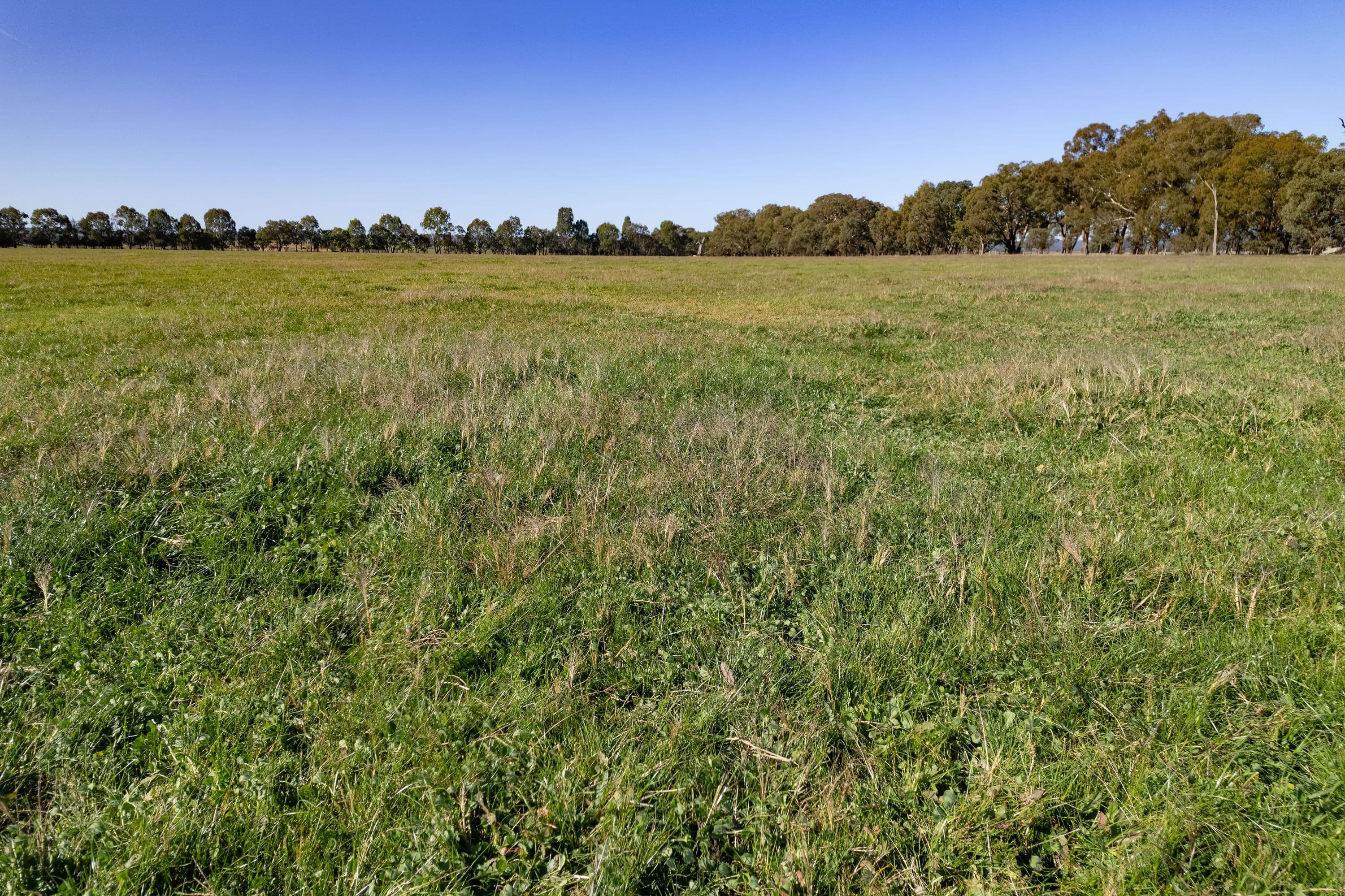 486 Carraragarmungee Estate Road, Byawatha VIC 3678, Byawatha - Thumbnail 3