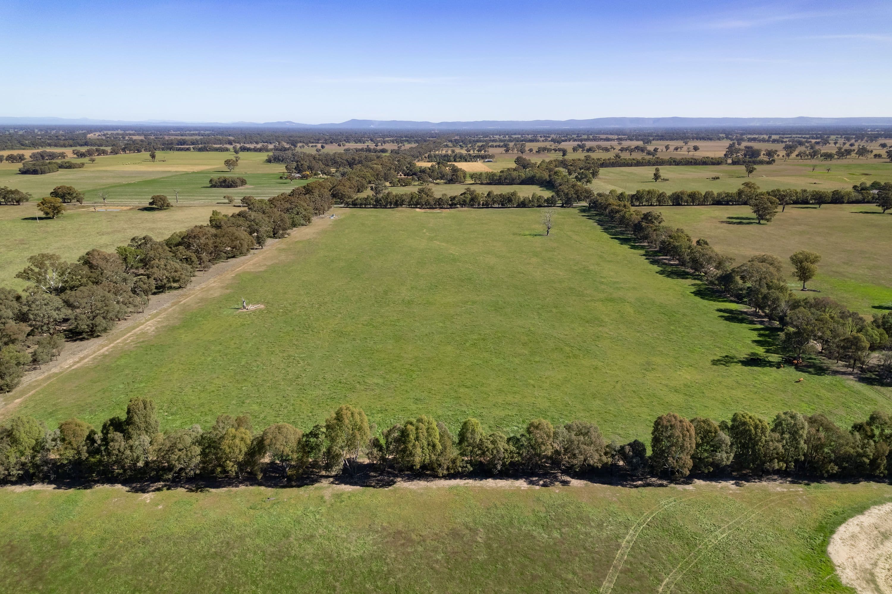 486 Carraragarmungee Estate Road, Byawatha VIC 3678, Byawatha - Thumbnail 4