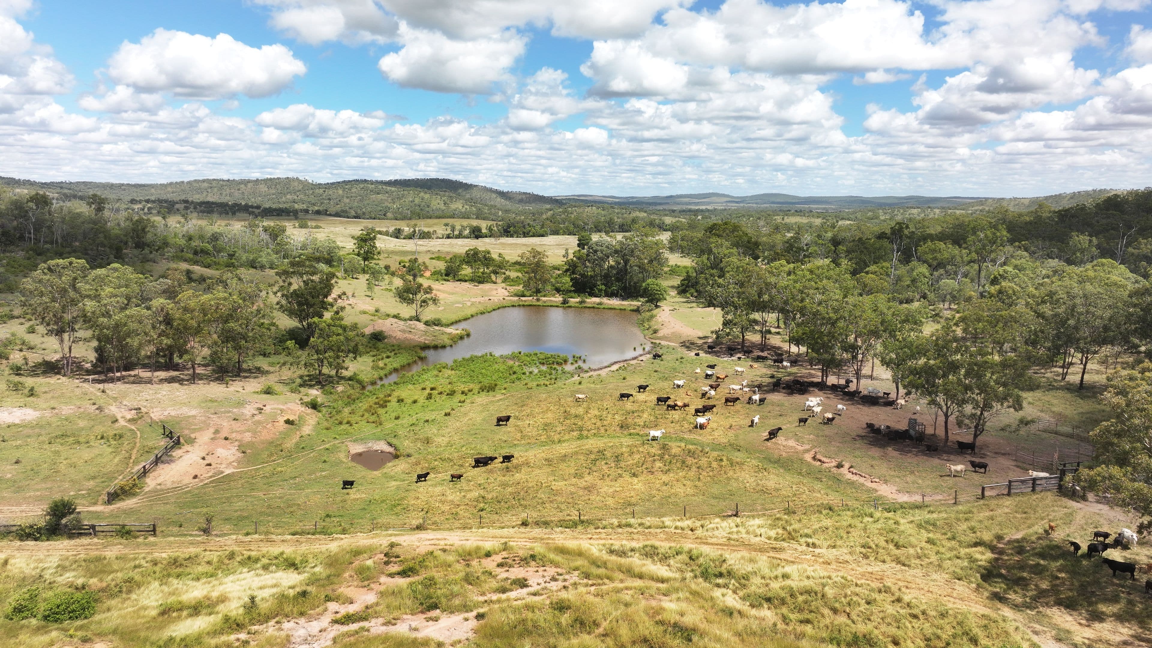 'Boomer' Rookwood Road, Gogango QLD 4702, Gogango - Image 1