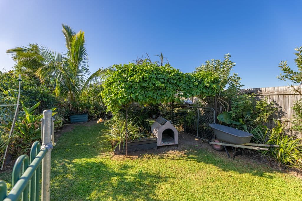 17 Newton Street, Caboolture South QLD 4510, Caboolture South - Thumbnail 5