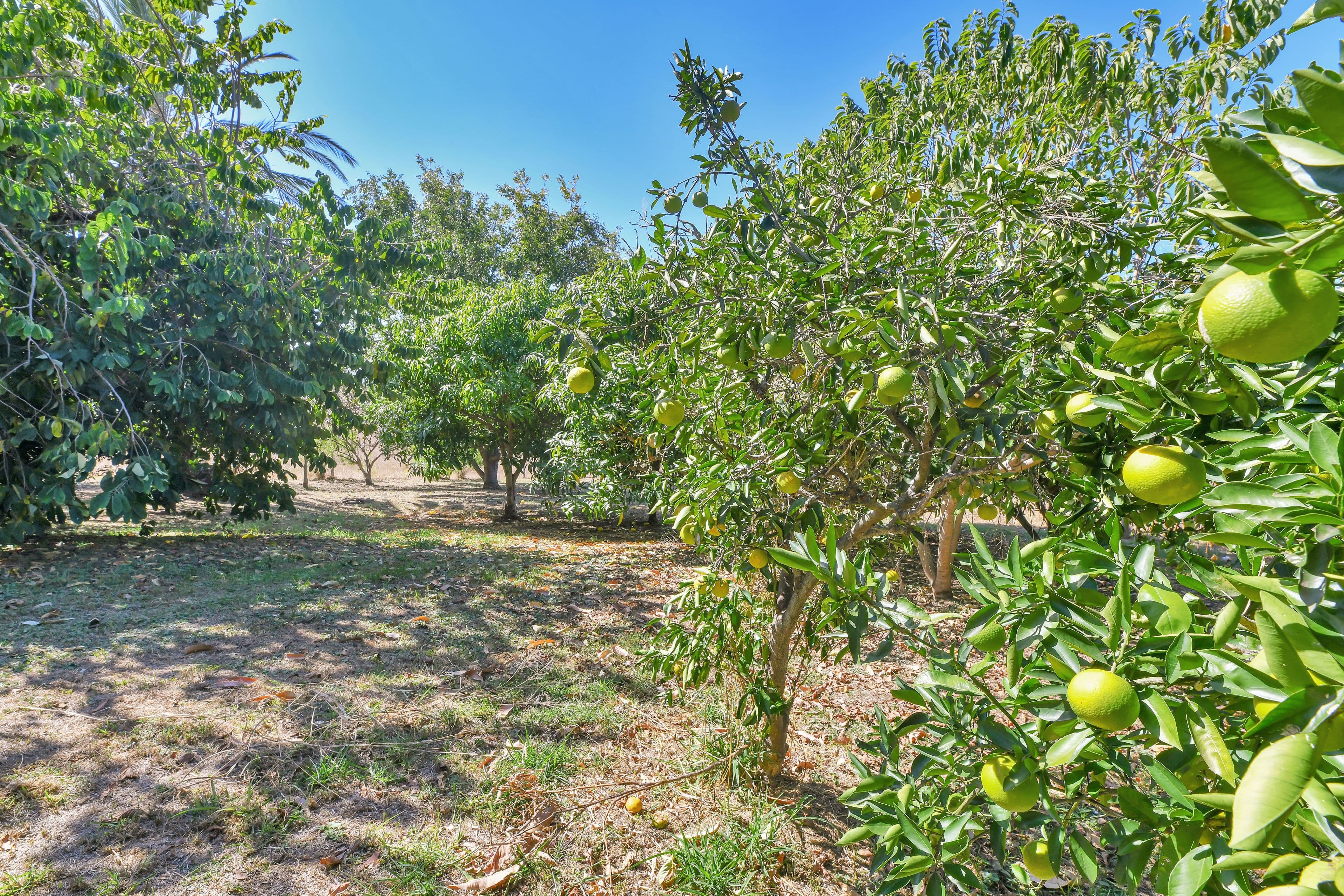 30 Kalbar Peak Crossing Road, Harrisville QLD 4307, Harrisville - Thumbnail 6