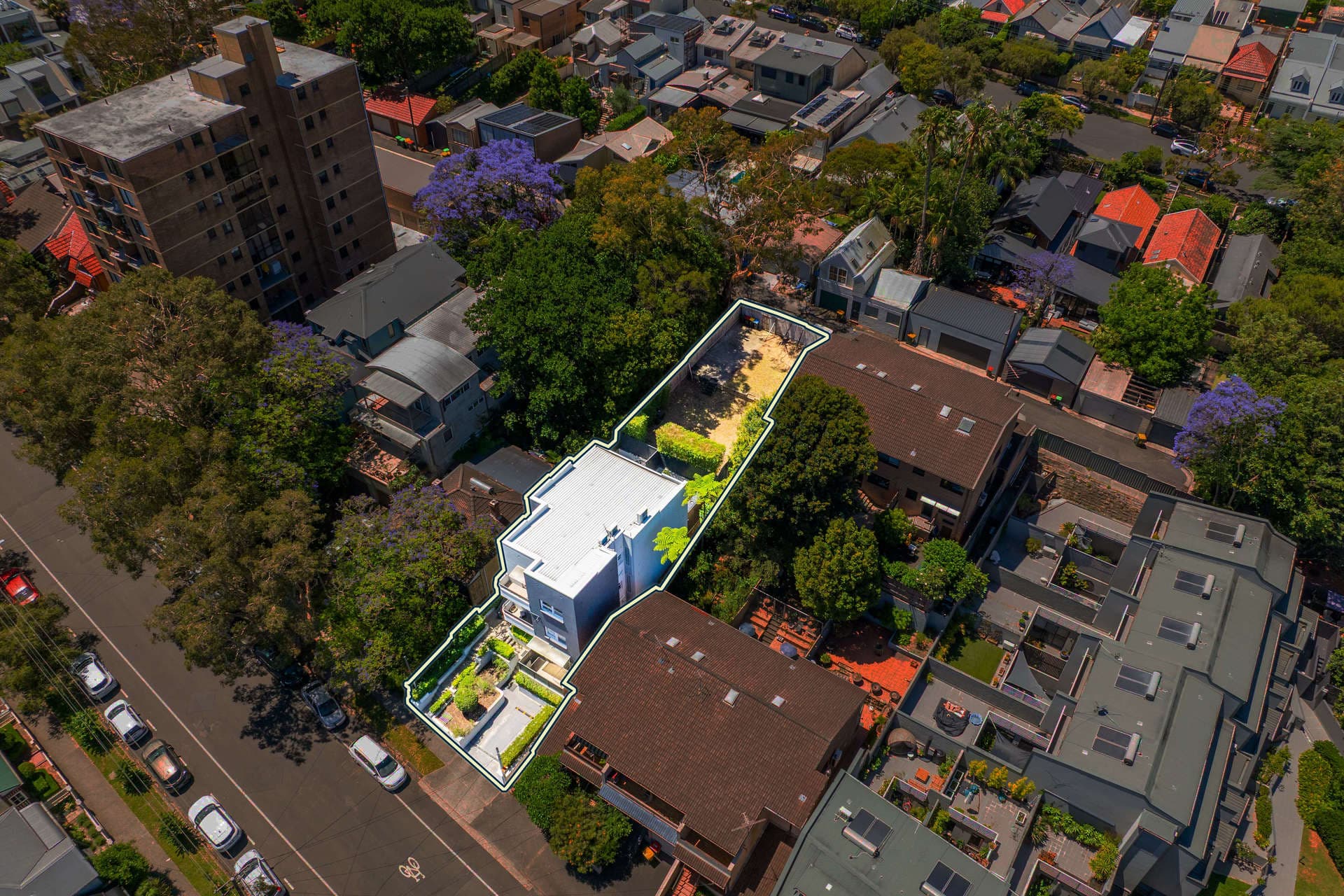34 Edith Street, Leichhardt - Thumbnail 4