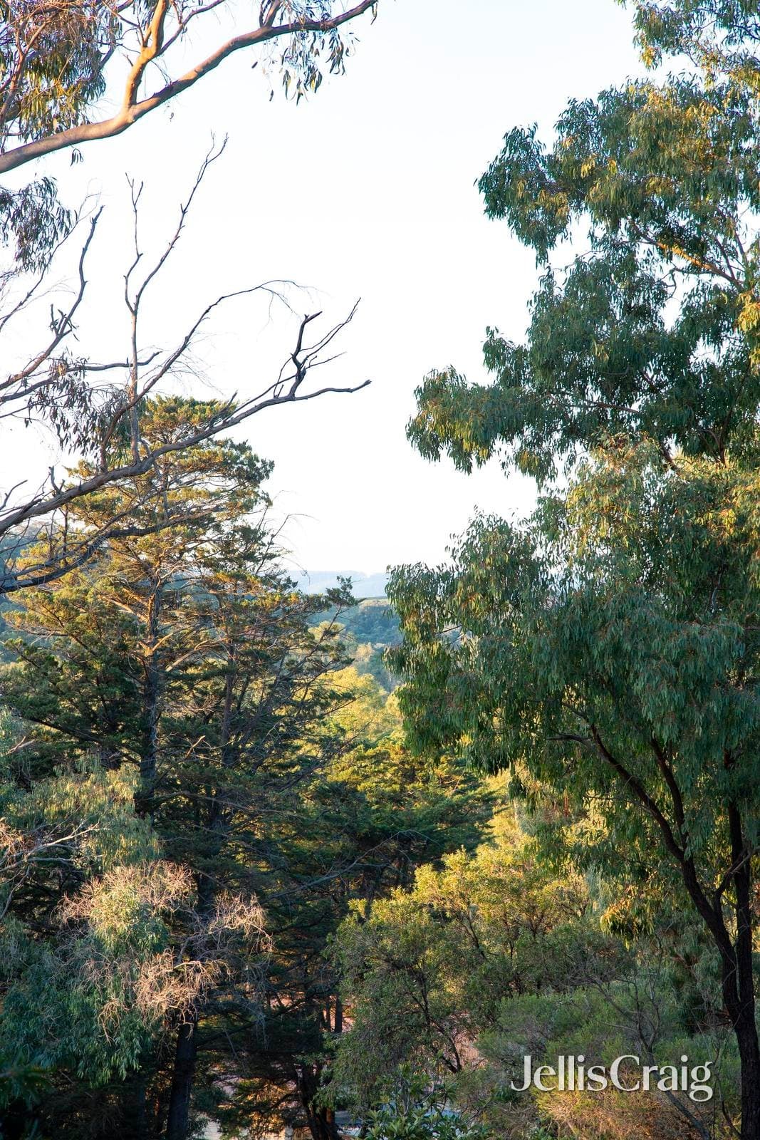 7 Melissa Close, Hurstbridge, Hurstbridge - Thumbnail 3