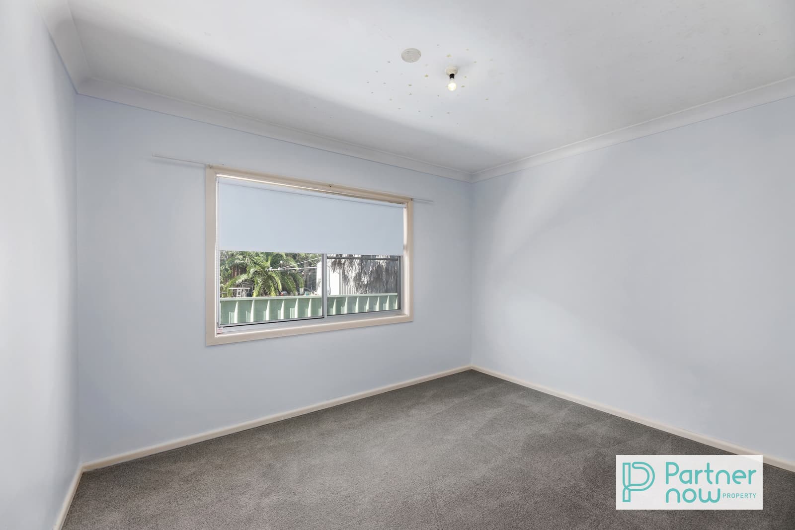 14 Southview Street, TAMWORTH NSW 2340, Tamworth - Thumbnail 7