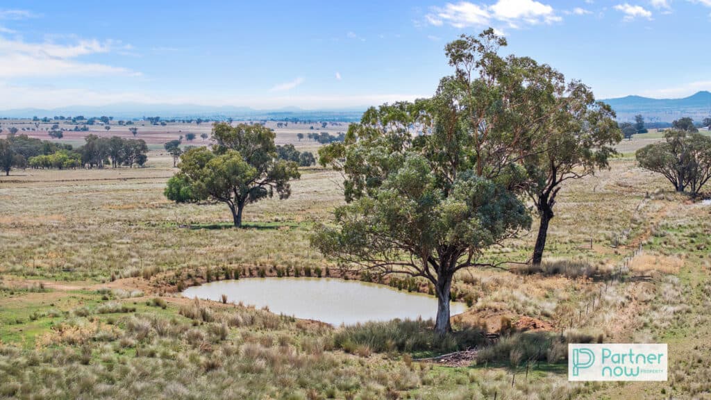 1717 Oxley Highway, Tamworth - Image 1