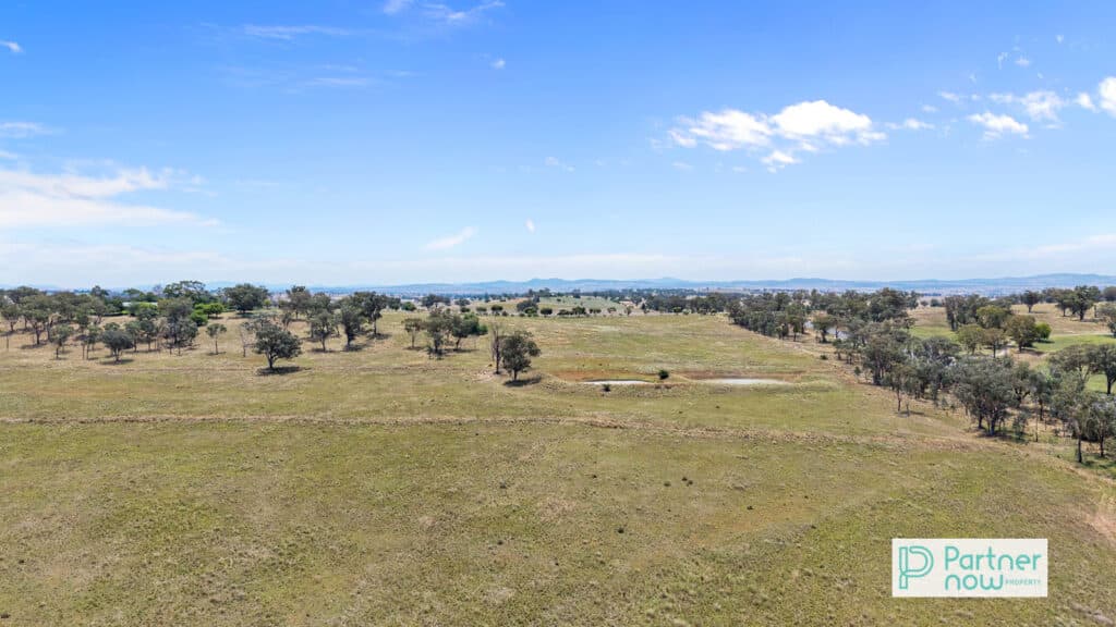 1717 Oxley Highway, Tamworth - Thumbnail 2