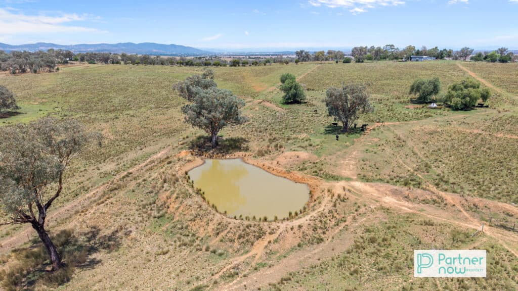 1717 Oxley Highway, Tamworth - Thumbnail 4
