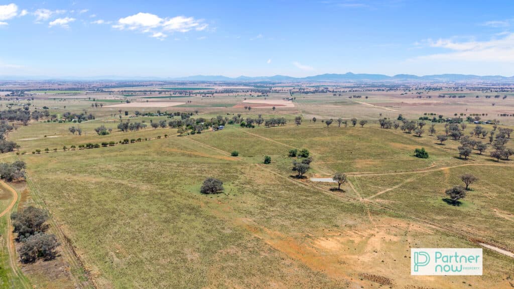 1717 Oxley Highway, Tamworth - Thumbnail 5