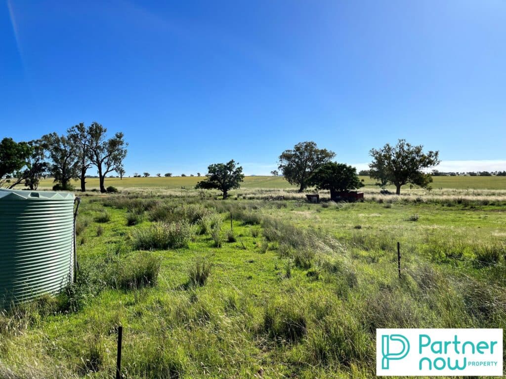 205 Gidley-Appleby Road, Tamworth - Image 1