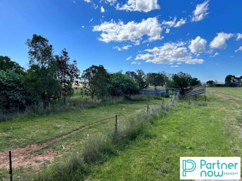 205 Gidley-Appleby Road, Tamworth - Thumbnail 2