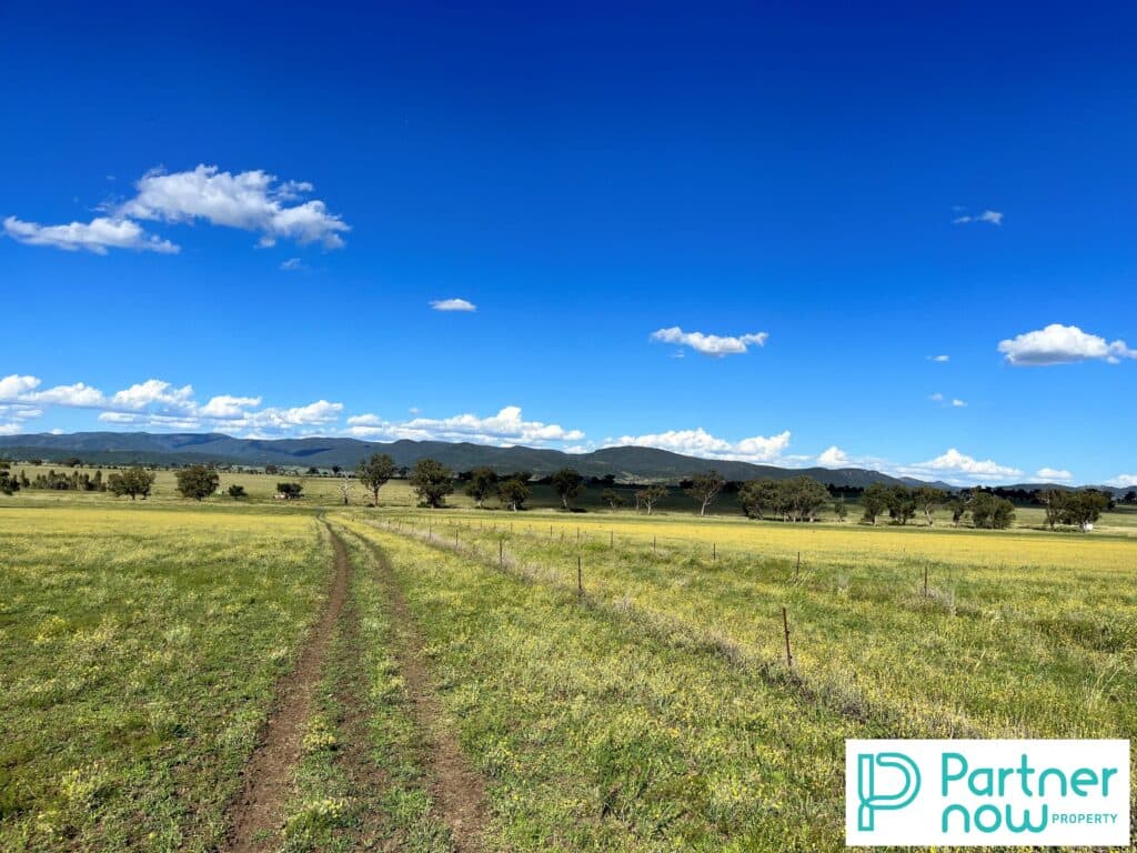 205 Gidley-Appleby Road, Tamworth - Thumbnail 4