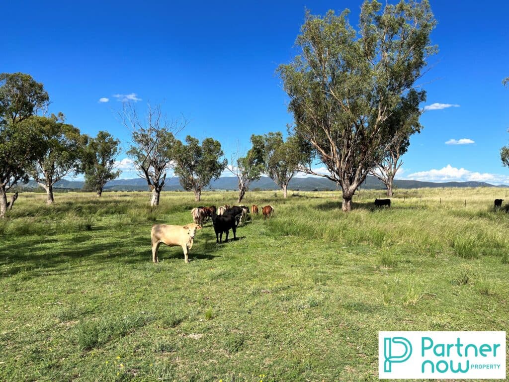 205 Gidley-Appleby Road, Tamworth - Thumbnail 6
