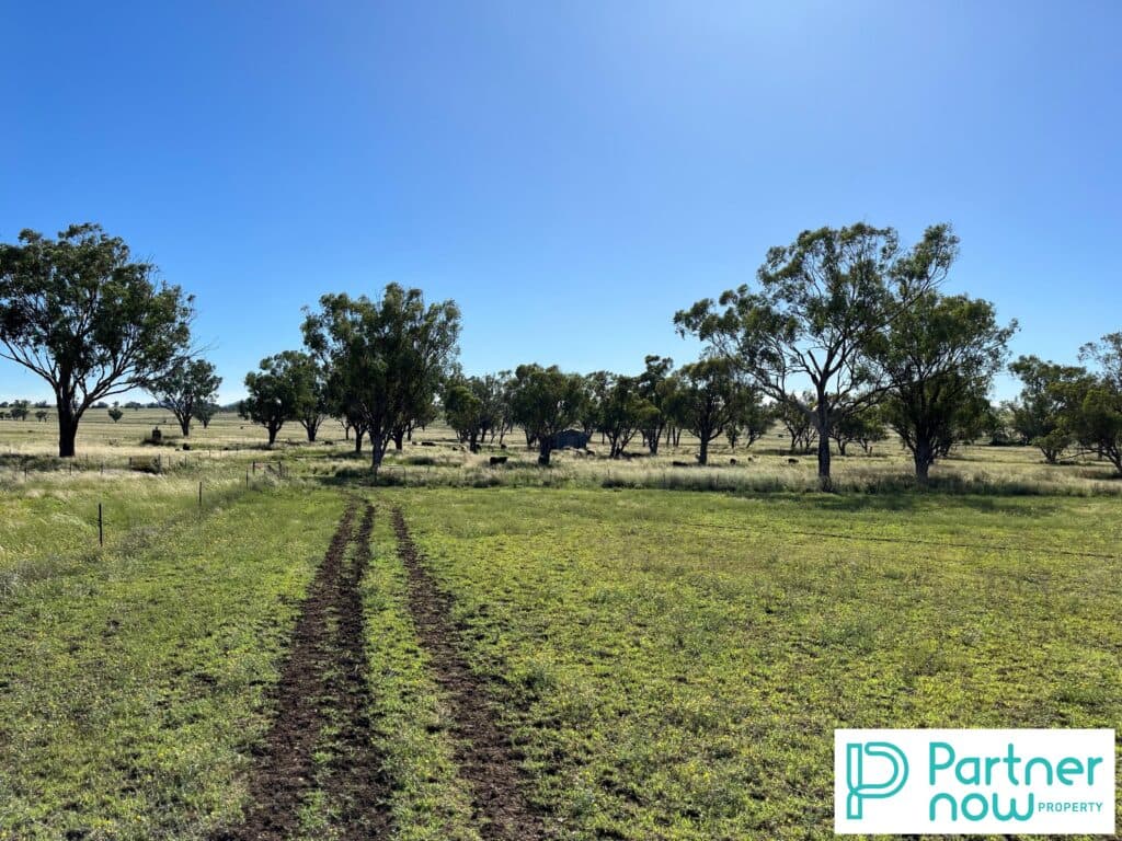 205 Gidley-Appleby Road, Tamworth - Thumbnail 8