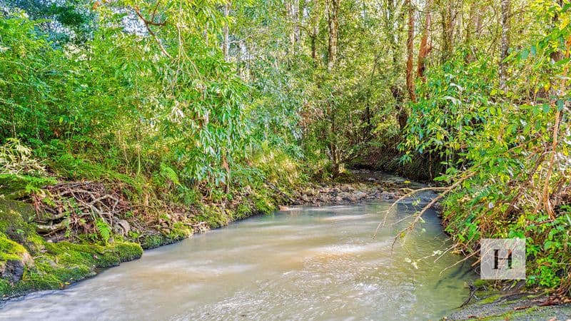 339 Mount Coxcomb Road, Upper Lansdowne, NSW 2430, Upper Lansdowne - Thumbnail 2