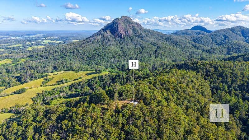 339 Mount Coxcomb Road, Upper Lansdowne, NSW 2430, Upper Lansdowne - Thumbnail 3