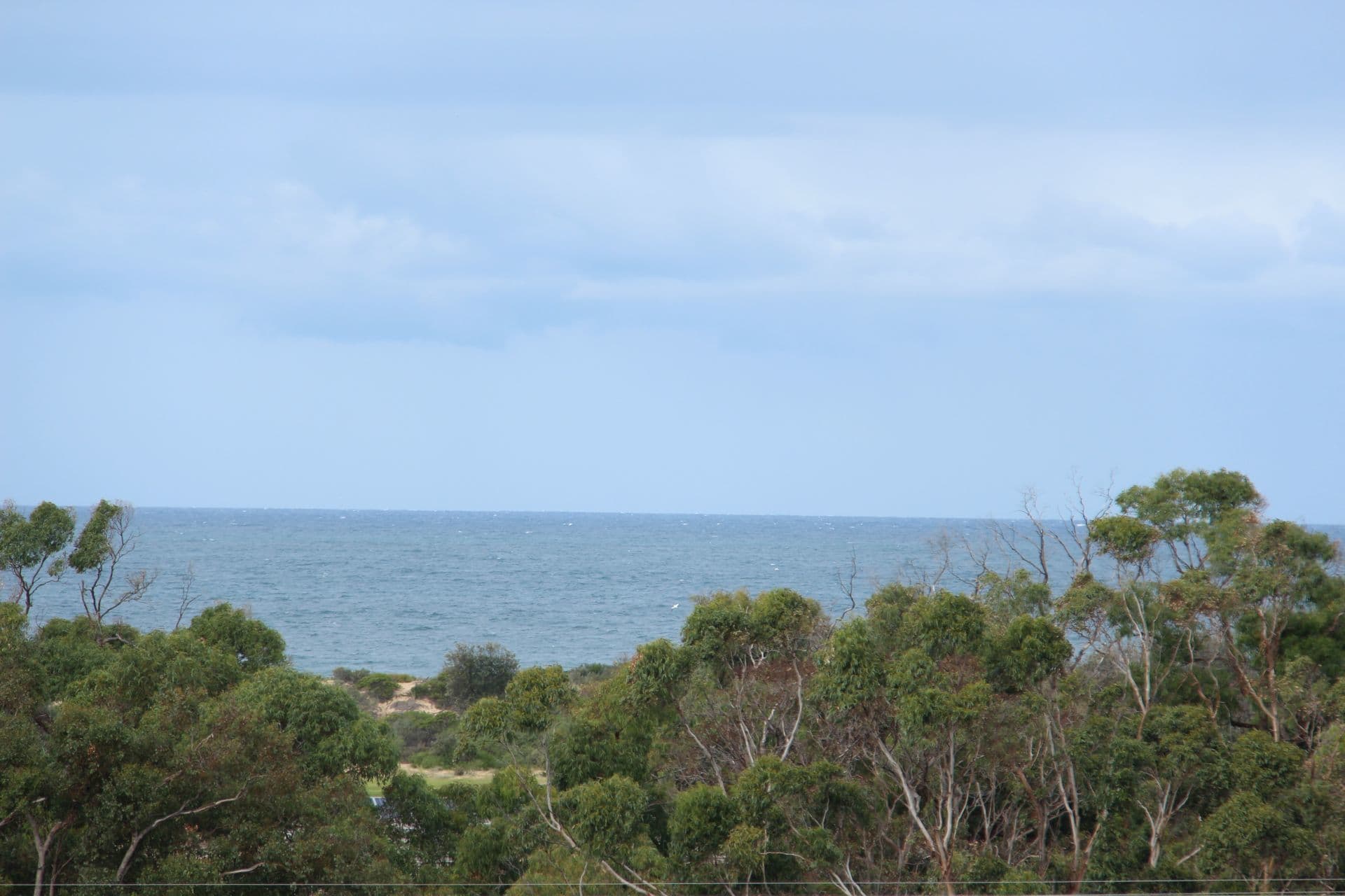 101 Lorraine Street, PEAKHURST HEIGHTS, Peakhurst Heights - Image 1