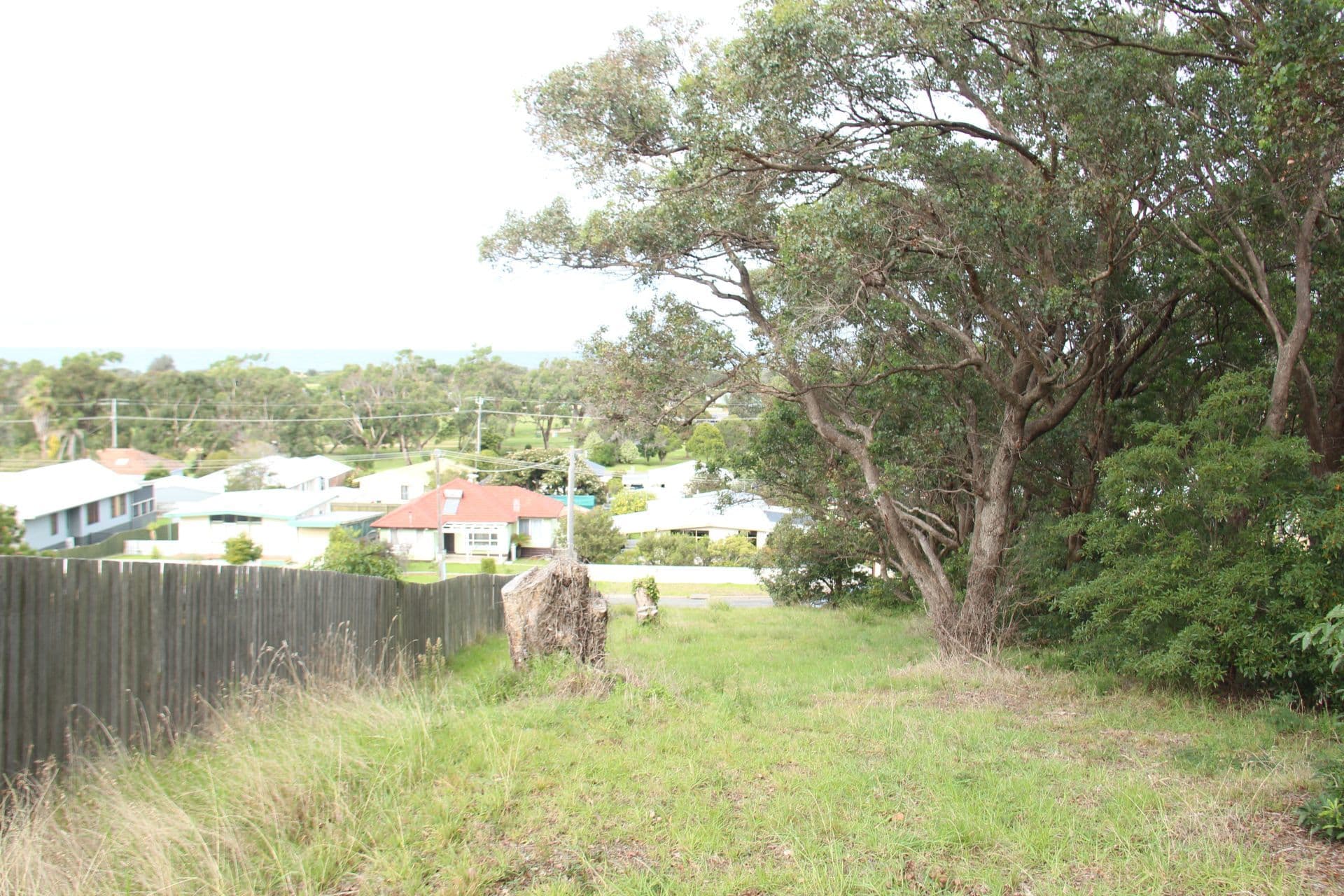 101 Lorraine Street, PEAKHURST HEIGHTS, Peakhurst Heights - Thumbnail 2