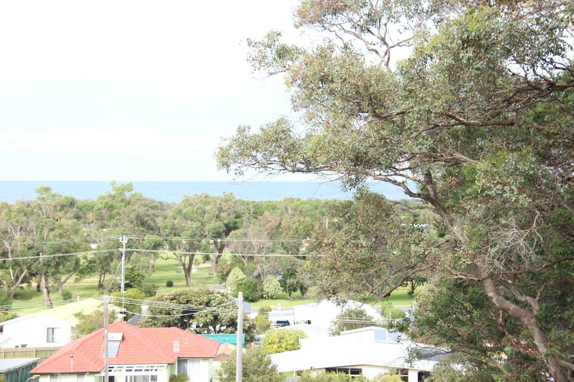 101 Lorraine Street, PEAKHURST HEIGHTS, Peakhurst Heights - Thumbnail 4