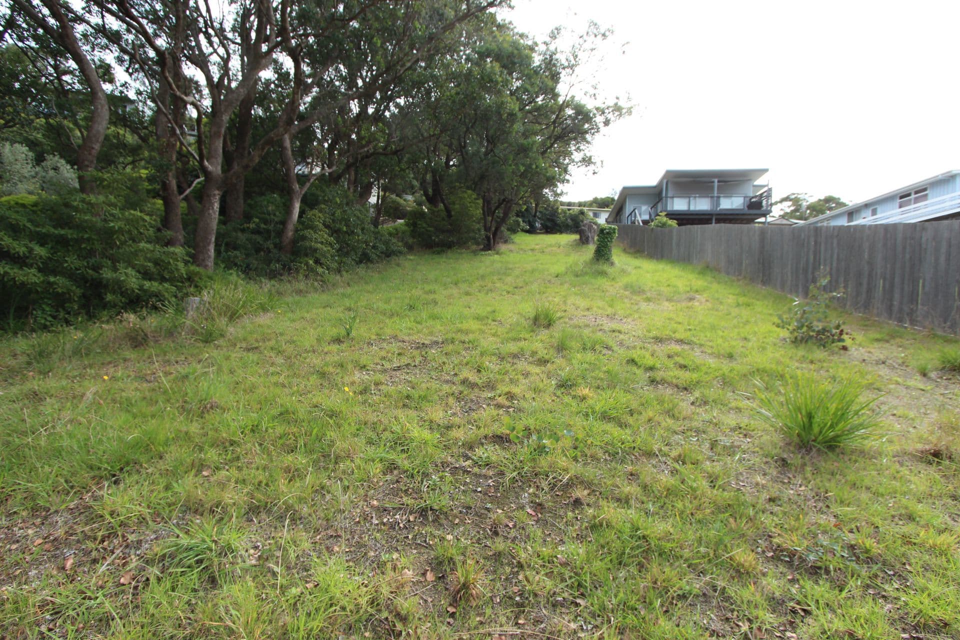 101 Lorraine Street, PEAKHURST HEIGHTS, Peakhurst Heights - Thumbnail 5