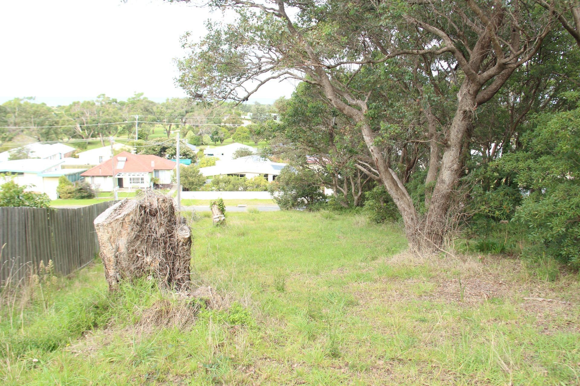 101 Lorraine Street, PEAKHURST HEIGHTS, Peakhurst Heights - Thumbnail 7