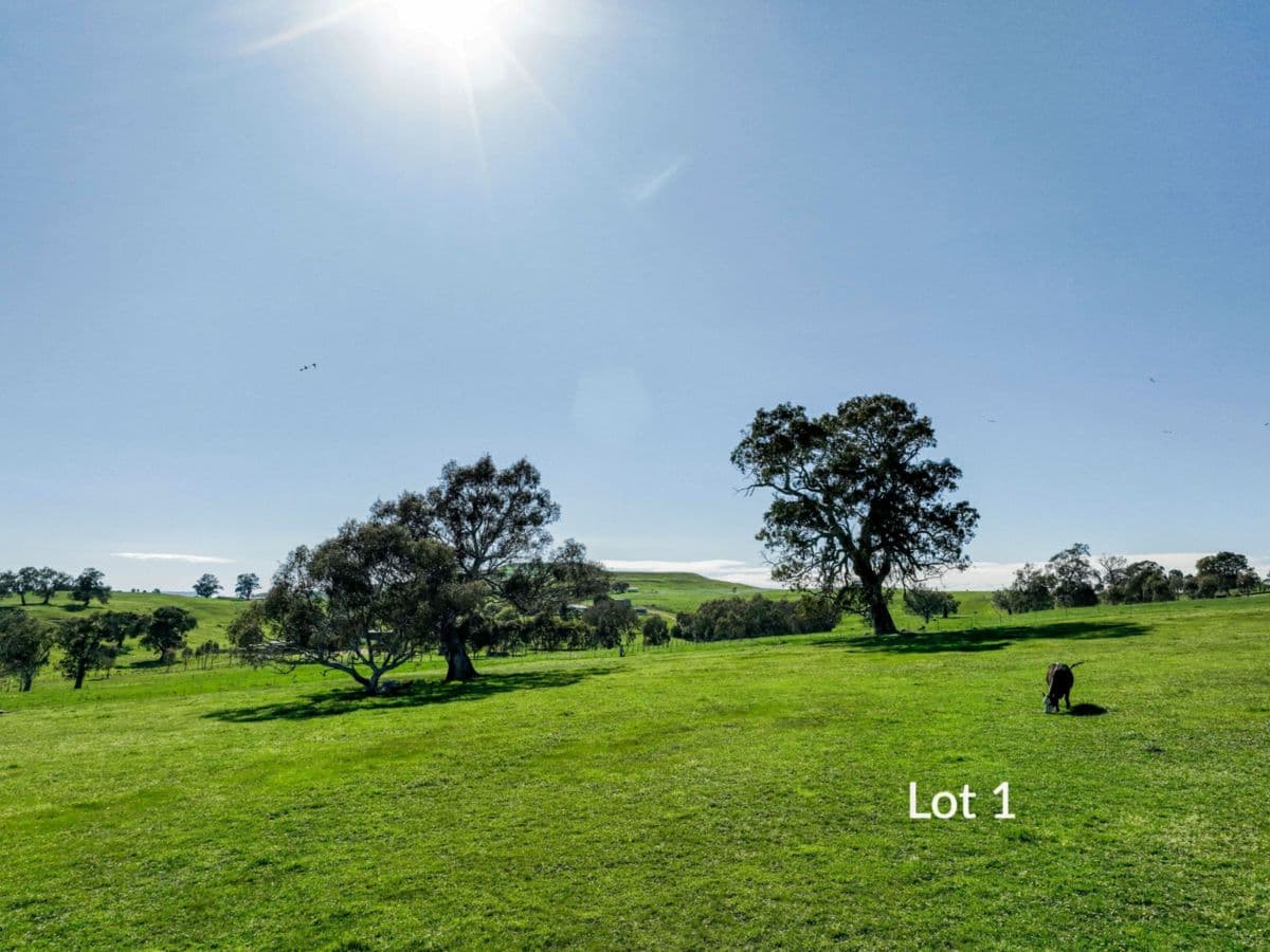 344 Dead Horse Lane, MANSFIELD, Mansfield - Thumbnail 8