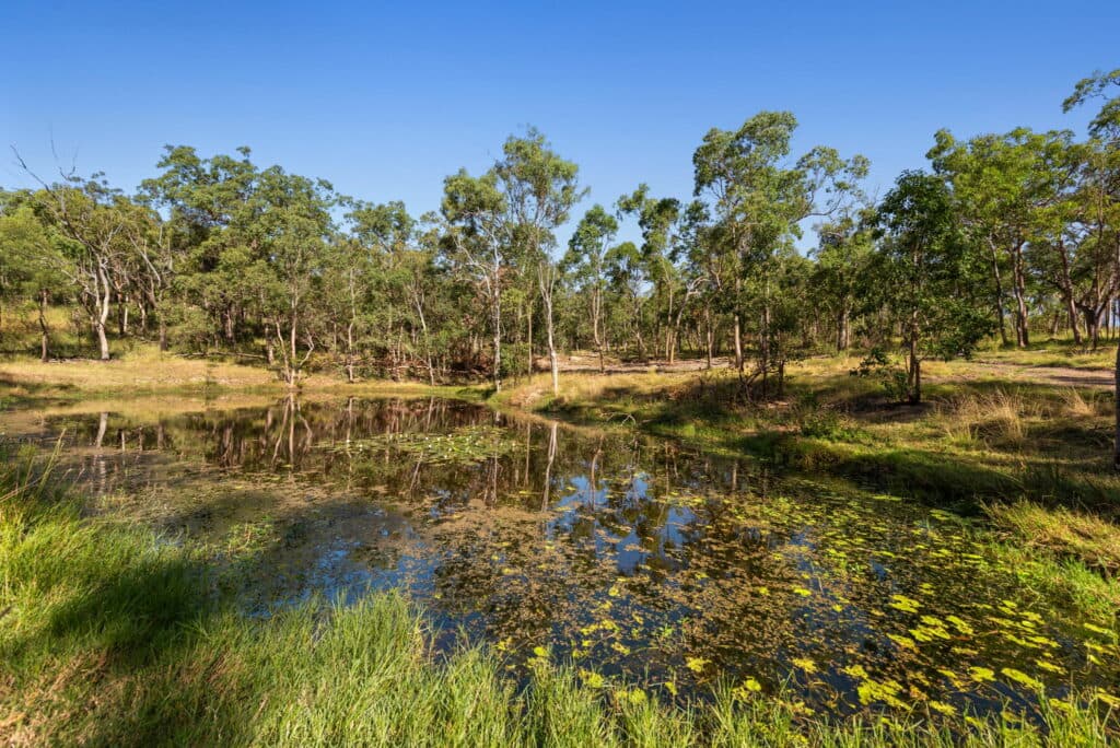 Glen Esk Road, GLEN ESK QLD 4312, Glen Esk - Thumbnail 5