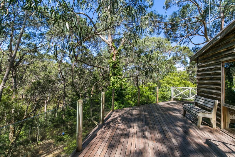 14 Allen Street, Lorne, VIC, Lorne - Thumbnail 4