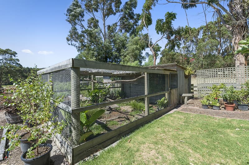 303 Barham River Road, Apollo Bay, VIC, Apollo Bay - Thumbnail 8
