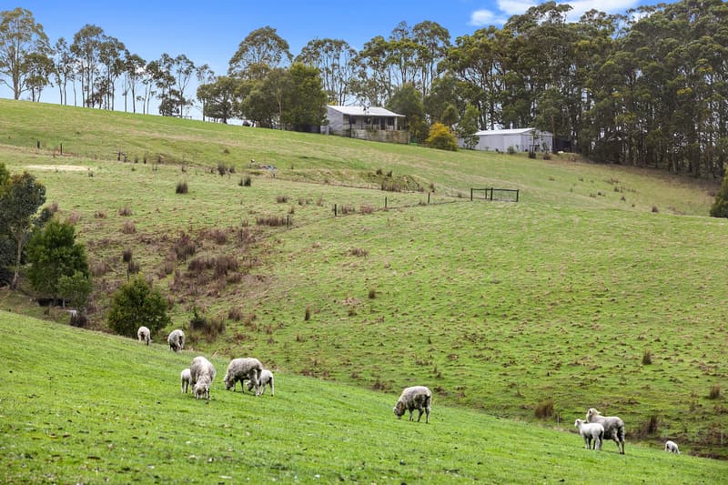 745 Bambra-Boonah Road, Boonah, VIC, Boonah - Image 1