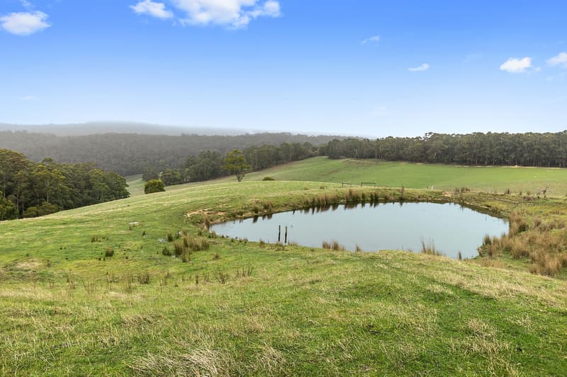 745 Bambra-Boonah Road, Boonah, VIC, Boonah - Thumbnail 5