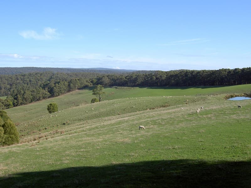 745 Bambra-Boonah Road, Boonah, VIC, Boonah - Thumbnail 6