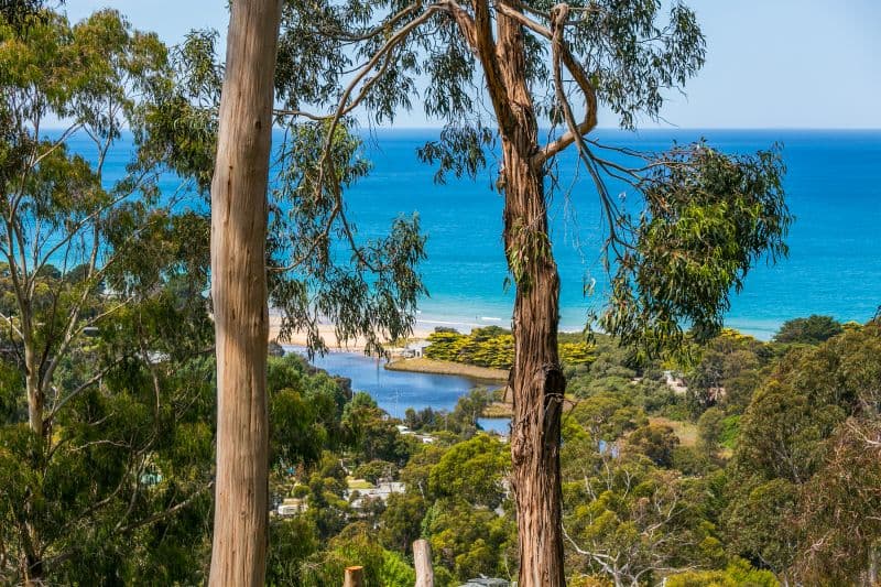 1/15 Toorak Terrace, Lorne, VIC, Lorne - Thumbnail 2