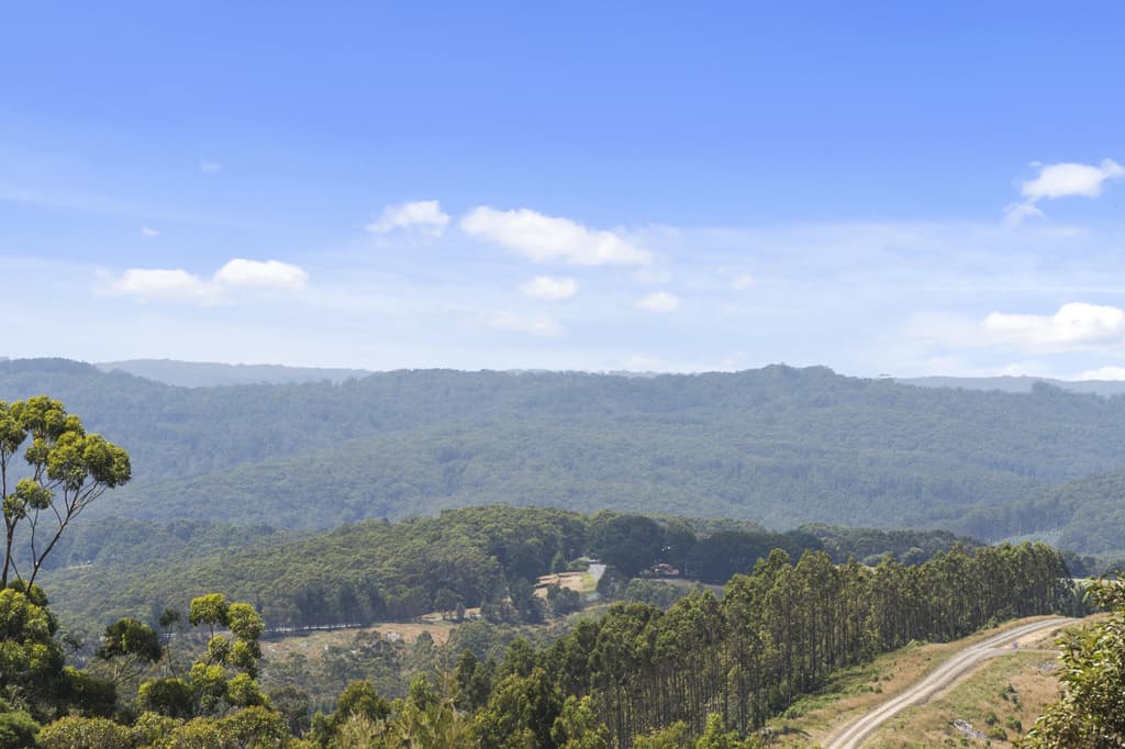 235 Blue Johanna Road JOHANNA VIC, Johanna - Thumbnail 2
