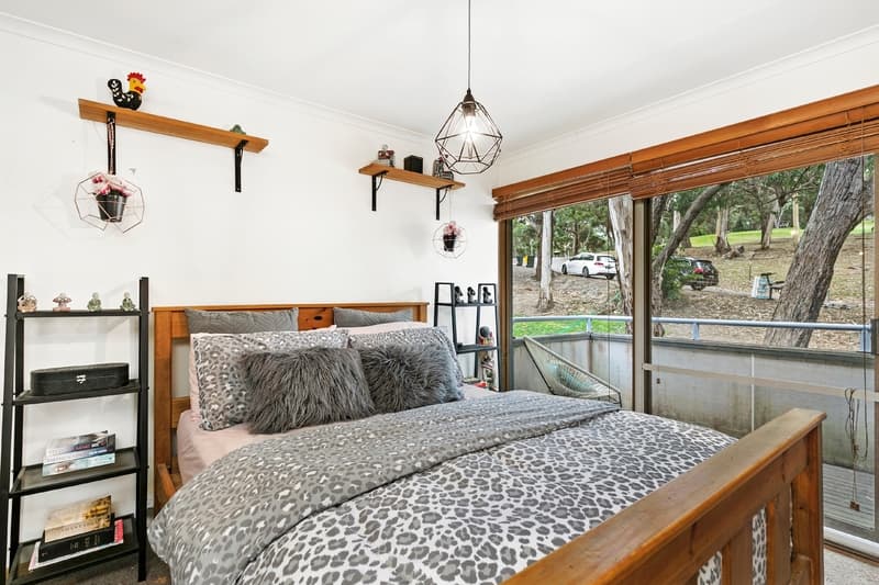 17 Holliday Road, Lorne, VIC, Lorne - Thumbnail 8